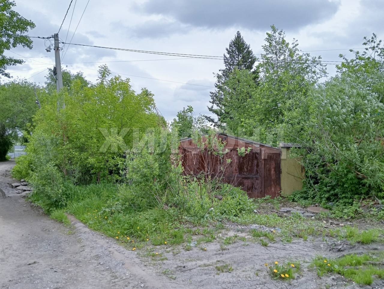 Ольховская, участок