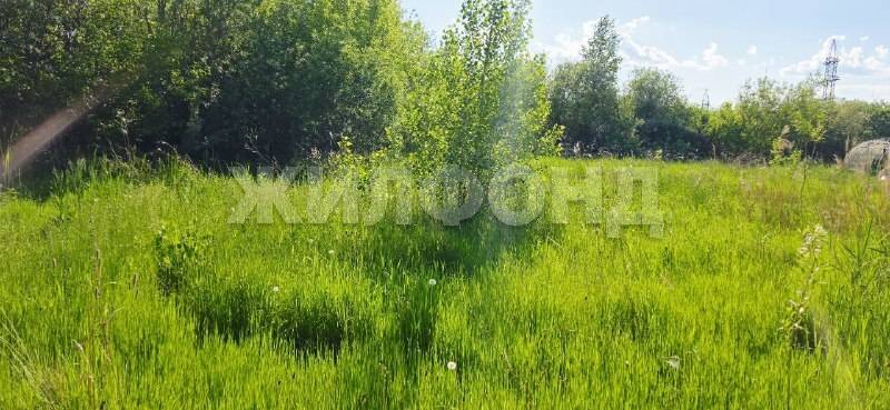 снт Золотая осень, участок