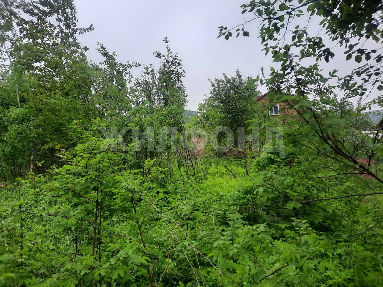 Аллея А (снт Золотая горка), дача