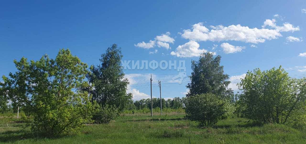 Купить Земельный Участок Поселок Бельмесево