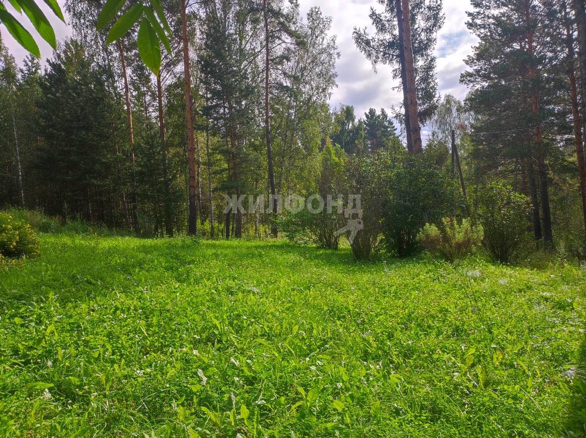 Купить Дом В Арейском Красноярского Края