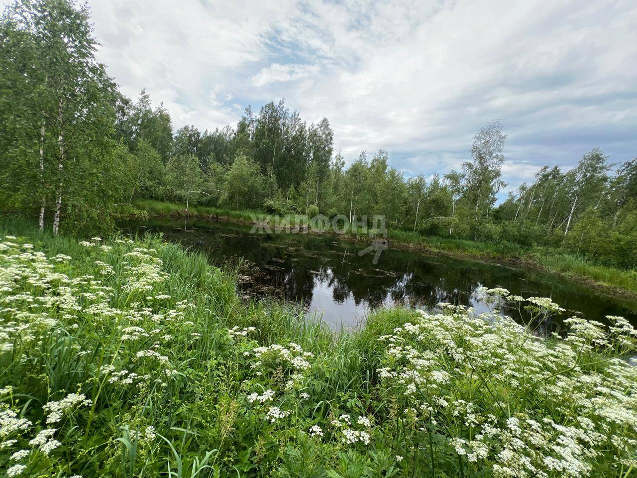 Продажа загородной недвижимости в Орехово-Зуево и Московской области - 27  вариантов: цена, фото | Жилфонд - +7(496)415-01-01