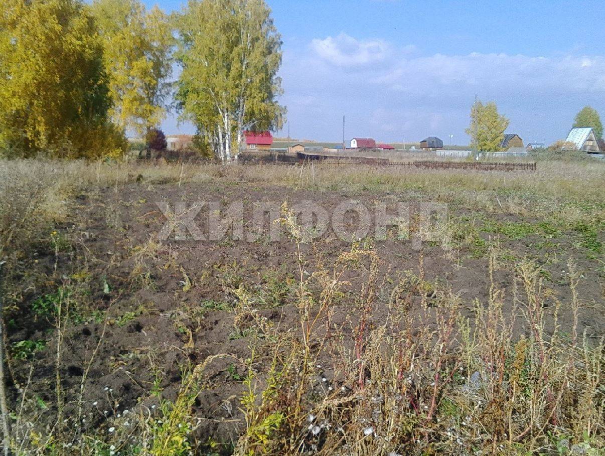 Купить Земельный Участок В Верх Туле Новосибирской