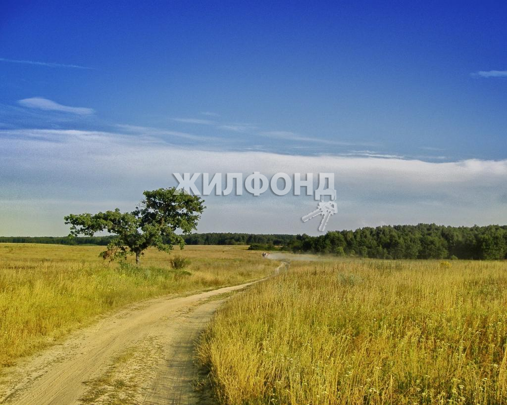 Купить земельный участок в г.Бурмистрово - вариант 80190075 | Жилфонд