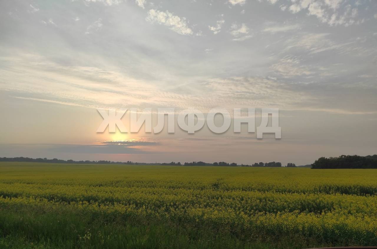 Купить Квартиру В Агролесе Искитимский Район
