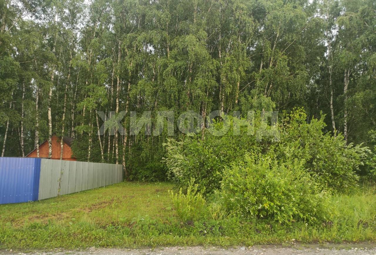 Купить Квартиру В Агролесе Искитимский Район
