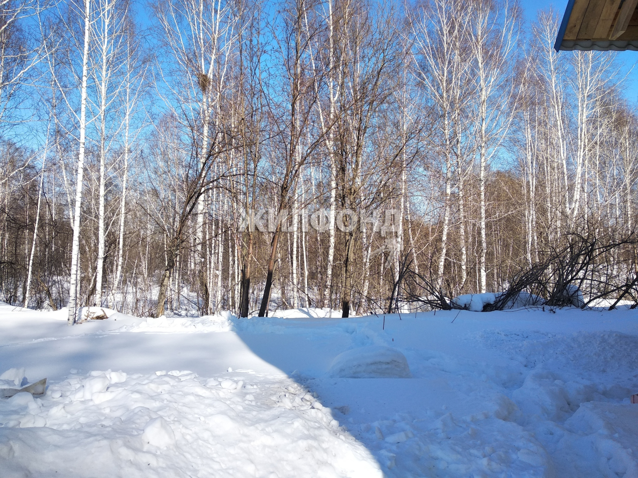 Купить Участок В Новосибирском