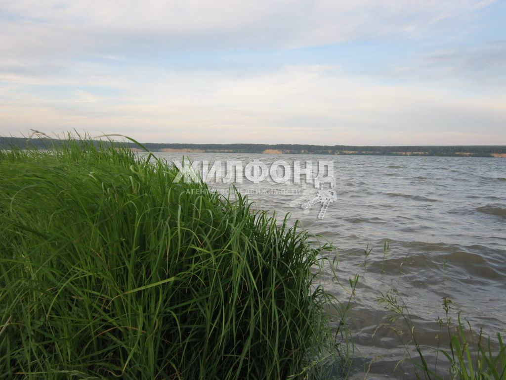 Купить земельный участок в городе Бердь - 30 вариантов: цена, фото |  Жилфонд - +7(383)201-00-01