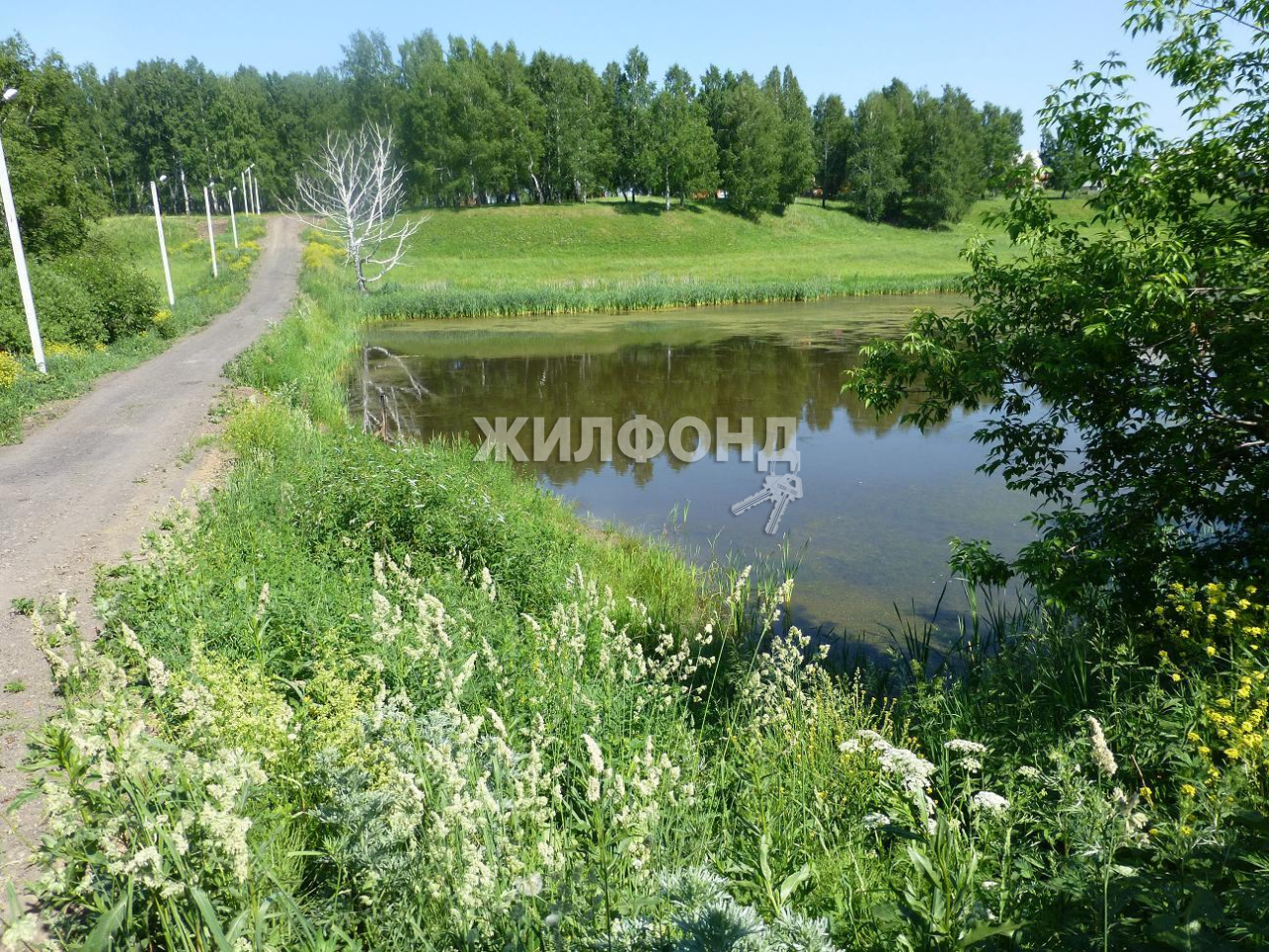 Купить земельный участок в городе Мочище станция - 15 вариантов: цена, фото  | Жилфонд - +7(383)201-00-01