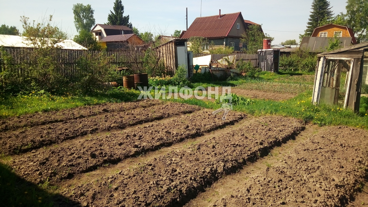 Купить дачу в г.Кубовинский сельсовет - вариант 80334024 | Жилфонд