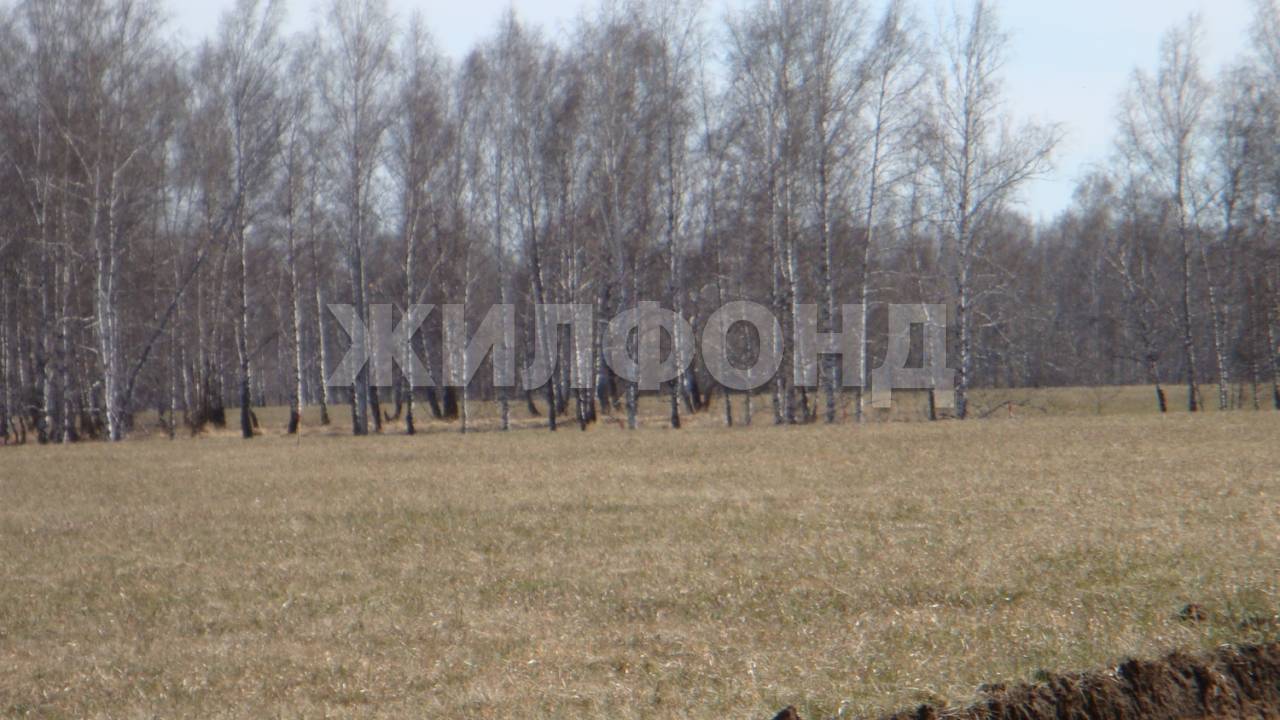 Купить Земельный Участок В Верх Туле Новосибирской
