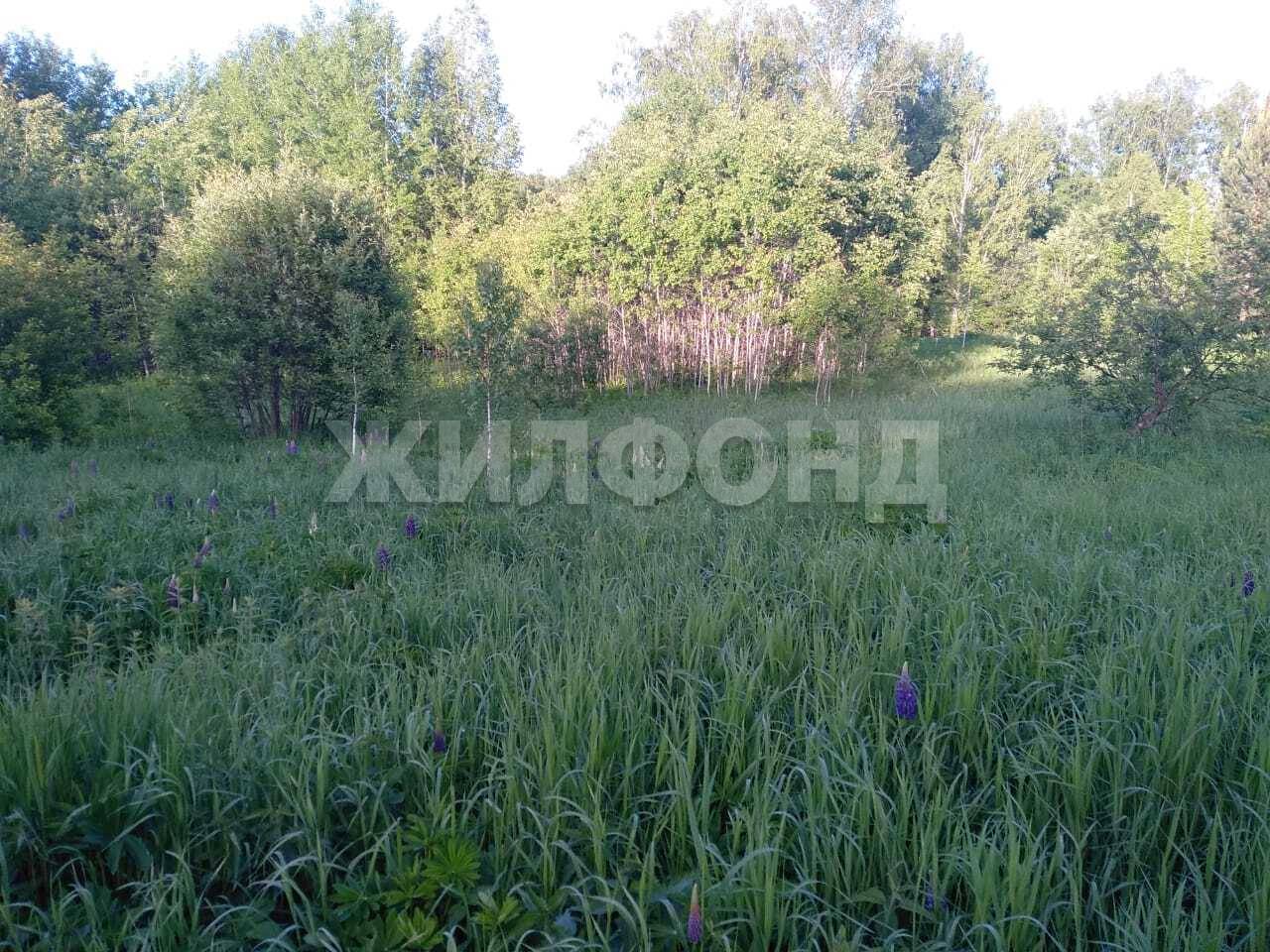 Купить Земельный Участок В Верх Туле Новосибирской