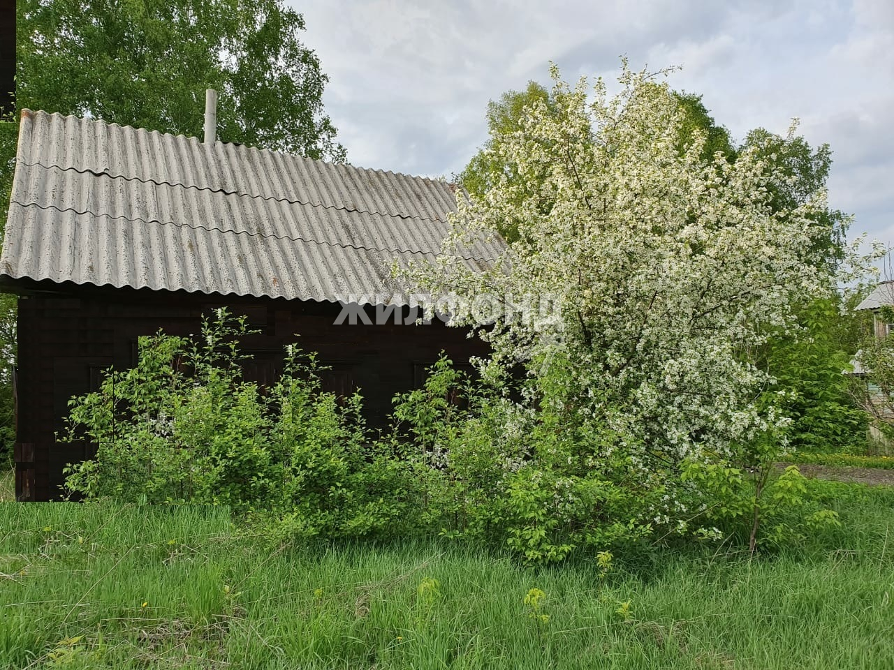 Купить дачу, дом, земельный участок в микрорайоне Березовка - 8 вариантов:  цена, фото | Жилфонд - +7(383)201-00-01