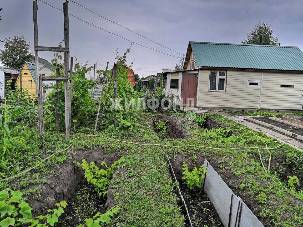 Купить дачу в г.Криводановка - вариант 8054107322 | Жилфонд