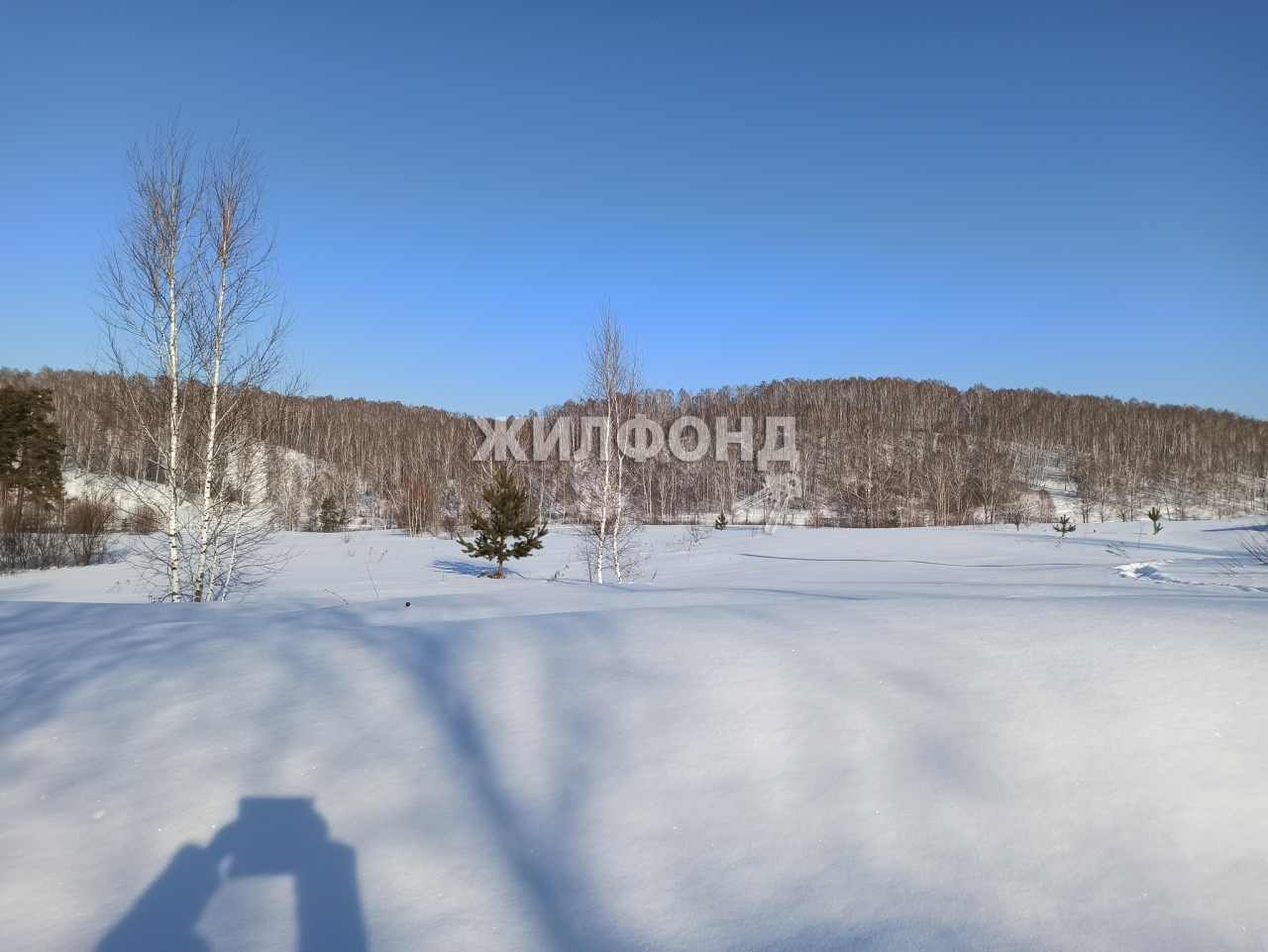 Продажа загородной недвижимости в городе Университетский - 16 вариантов:  цена, фото | Жилфонд - +7(383)201-00-01