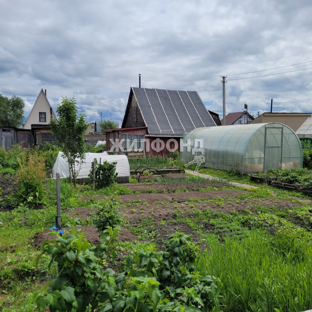 Снт Новолуговое Новосибирск Купить Дачу