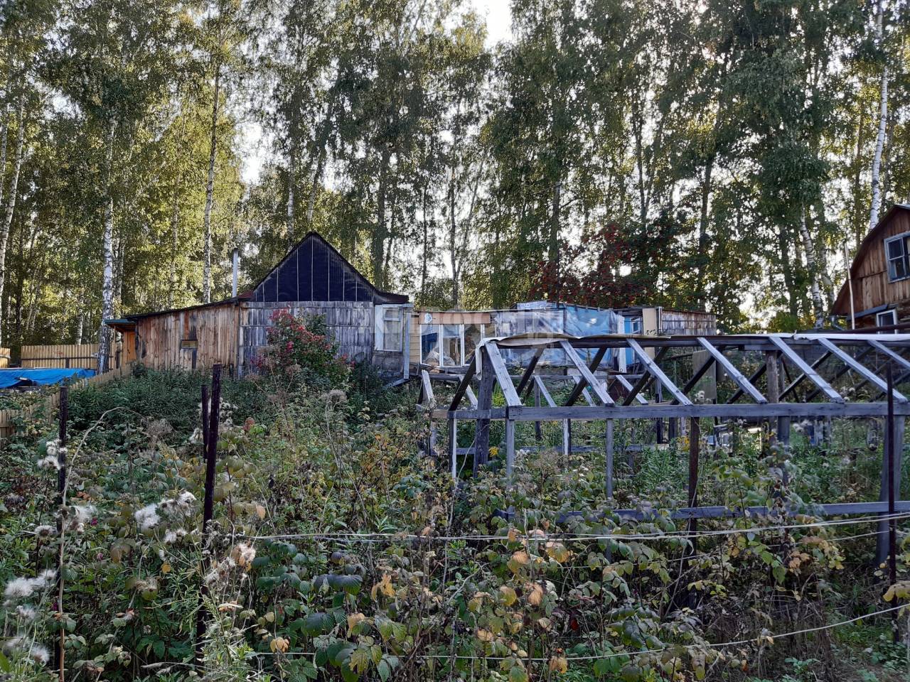 Купить дачу в городе Станционный сельсовет - 22 варианта: цена, фото |  Жилфонд - +7(383)201-00-01