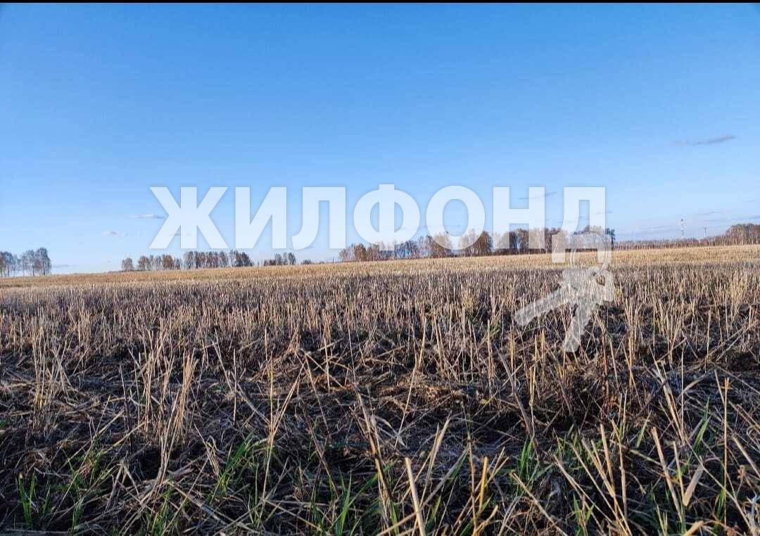 Продажа загородной недвижимости в городе Сарапулка - 12 вариантов: цена,  фото | Жилфонд - +7(383)201-00-01