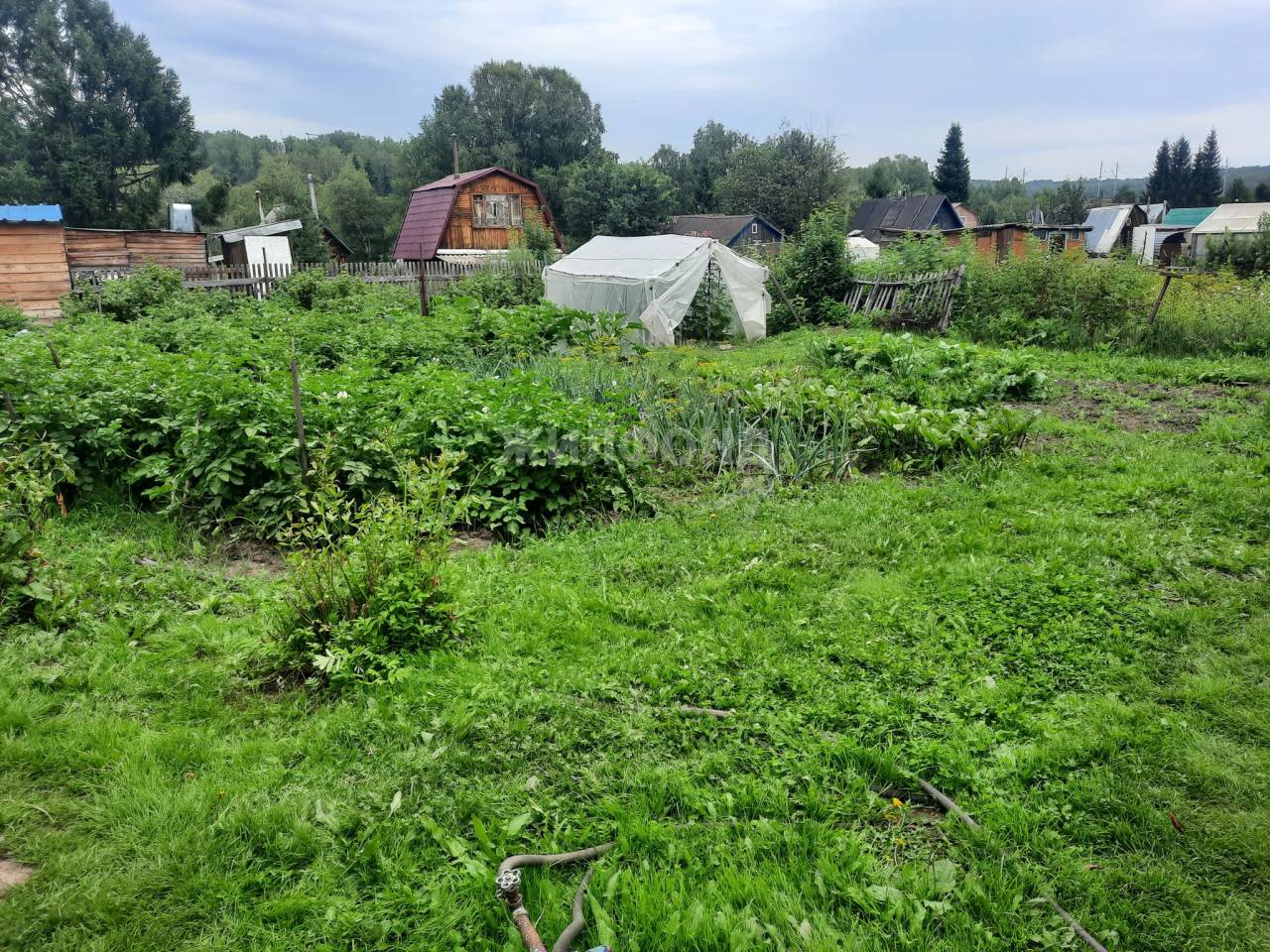 Купить Дом В Жеребцово Новосибирской Области