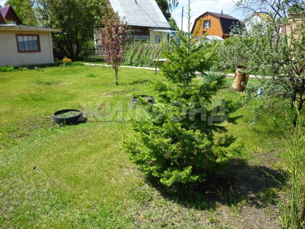 Купить Дачу Снт Южное Красноярск