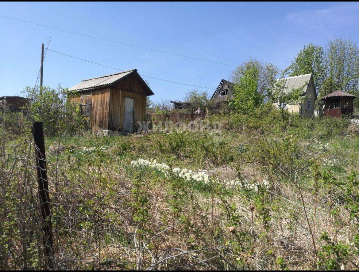 Продажа загородной недвижимости на улице снт Надежда-2 - 9 вариантов: цена,  фото | Жилфонд - +7(383)201-00-01