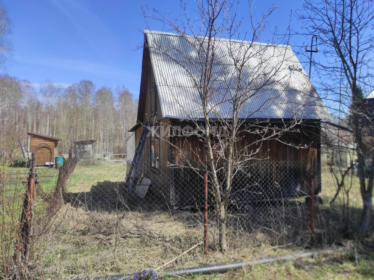 Купить дачу, земельный участок в городе Каменка - 50 вариантов: цена, фото  | Жилфонд - +7(383)201-00-01