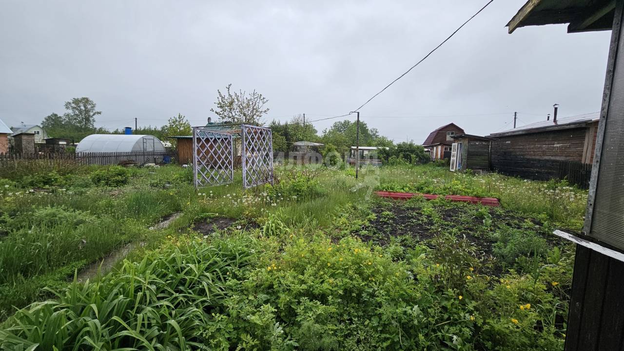 Купить дачу в городе Толмачевский сельсовет - 47 вариантов: цена, фото |  Жилфонд - +7(383)201-00-01