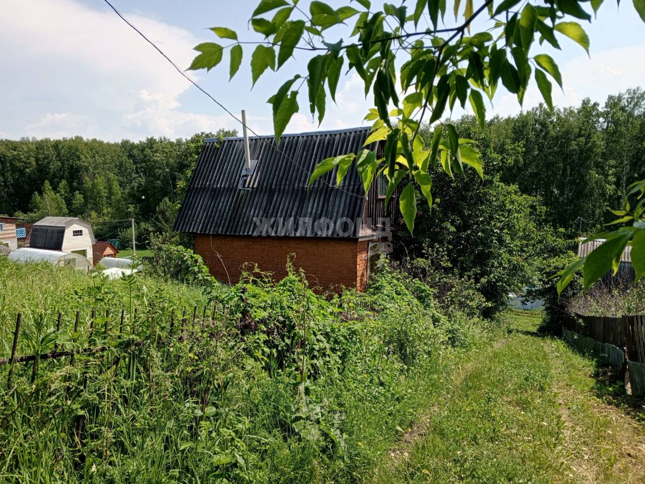 Купить дачу, дом, коттедж в городе Бердск - 480 вариантов: цена, фото |  Жилфонд - +7(383)201-00-01