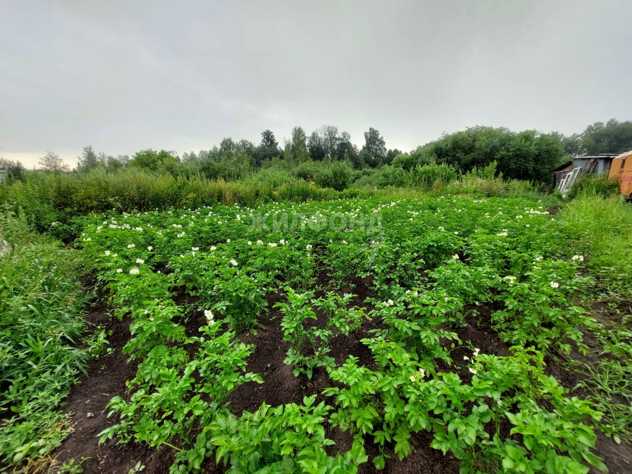 Купить Дом В Селе Раздольное Новосибирской Области