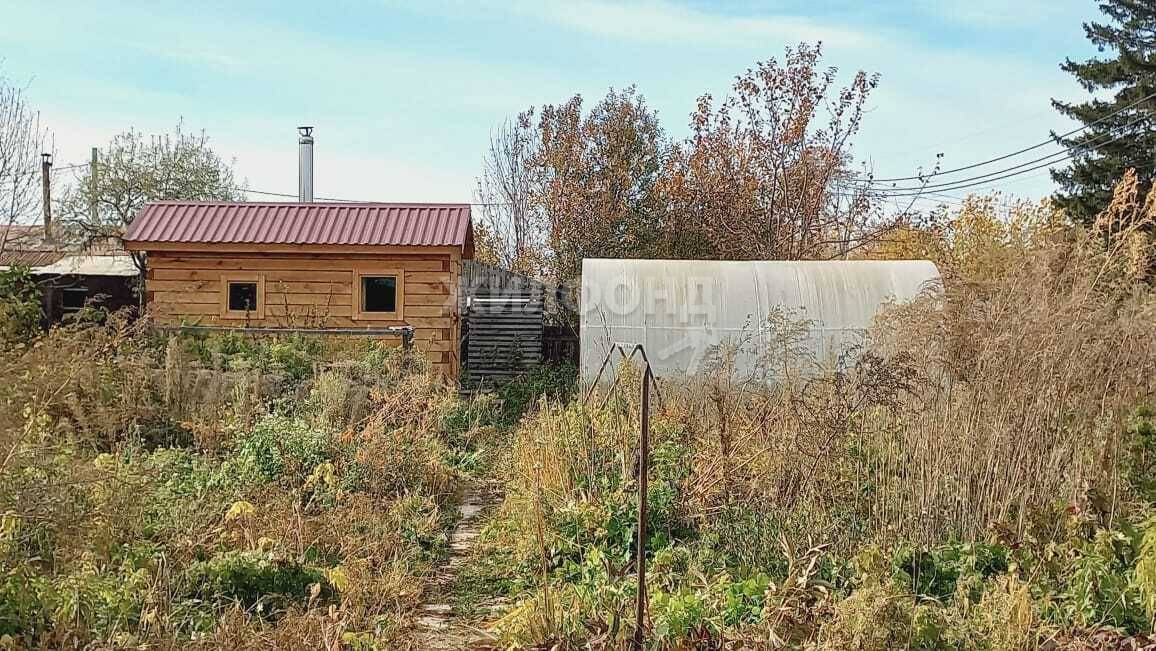 Купить Дачу В Снт Садовод Матвеевка Новосибирск