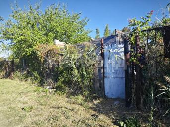 ст Пульс, 