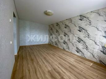 Антона Петрова, 241