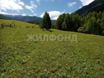 Центральная, 