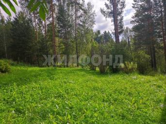 Светлая (снт Верба), 