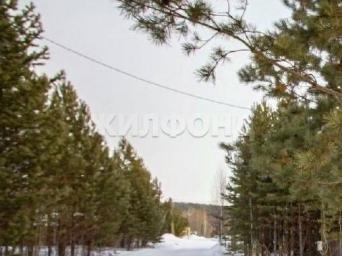 снт Тайга-1, 