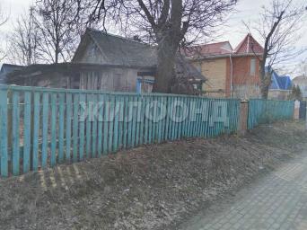 Розы Люксенбург, 