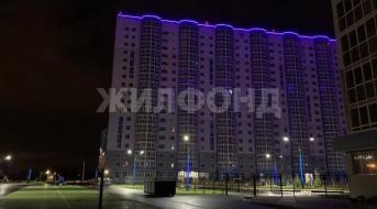Александра Чистякова, Торговые