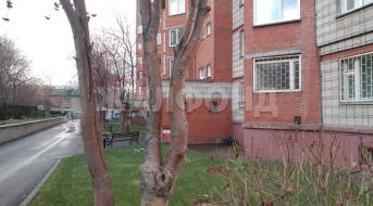 Сибиряков-Гвардейцев, Помещение свободного назначения