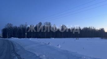 Новая, Земля