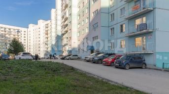Виктора Шевелева, Бизнес