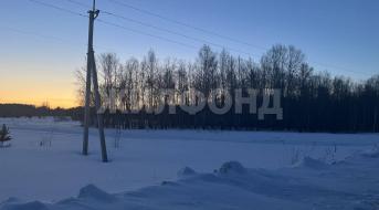 Новая, Земля