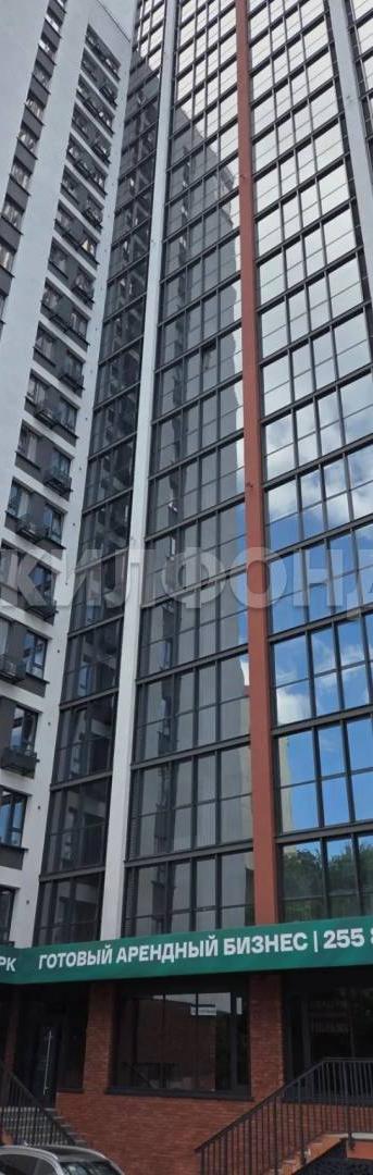Красный проспект, Помещение свободного назначения