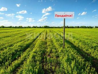 Заречная, 